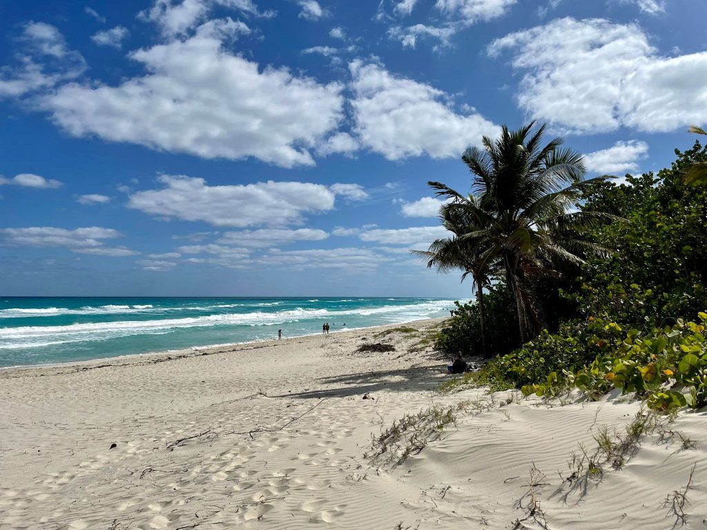 Photo de la plage à Varadero avec des palmiers