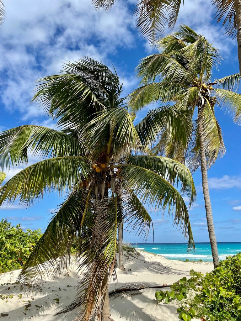 Photo de la plage à Varadero avec des palmiers